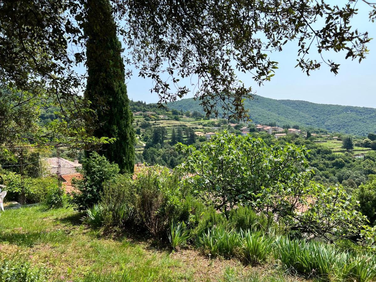 Les Gites D'Ardaillers Valleraugue Exterior foto